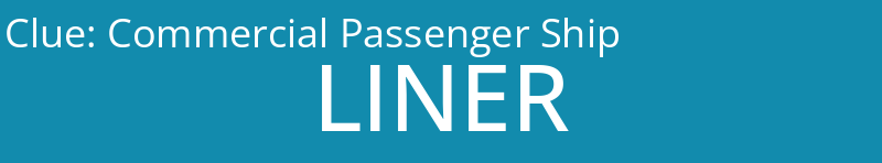 Commercial Passenger Ship
