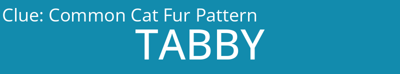Common Cat Fur Pattern