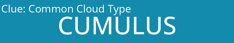 Common Cloud Type