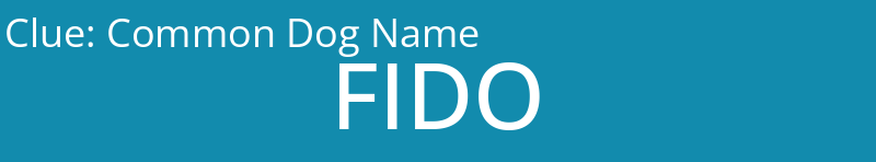 Common Dog Name