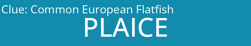 Common European Flatfish