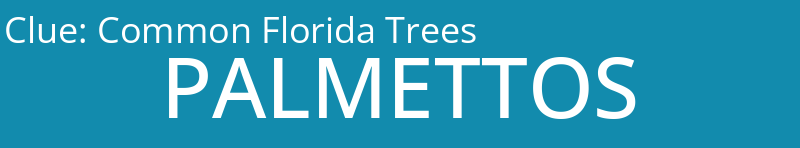 Common Florida Trees