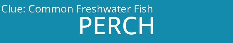 Common Freshwater Fish