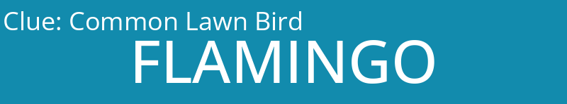 Common Lawn Bird