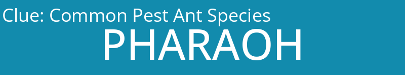 Common Pest Ant Species