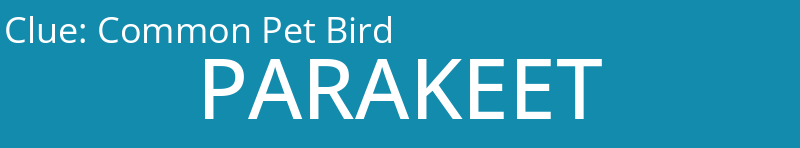 Common Pet Bird