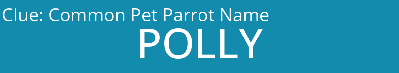 Common Pet Parrot Name