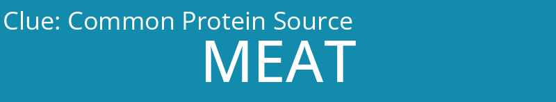 Common Protein Source