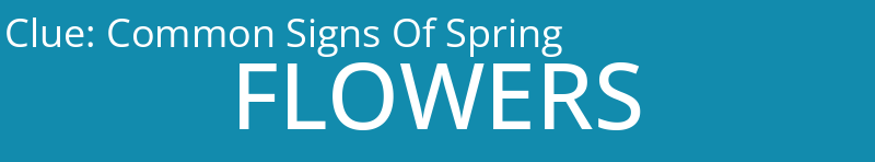 Common Signs Of Spring