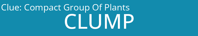 Compact Group Of Plants