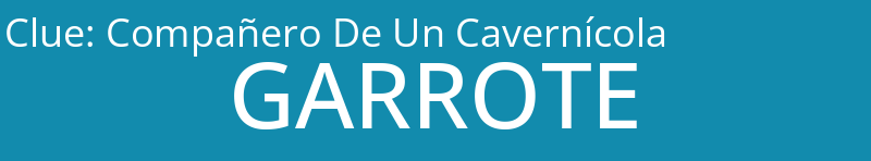 Compañero De Un Cavernícola