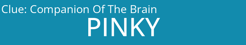 Companion Of The Brain