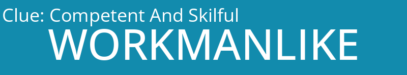 Competent And Skilful