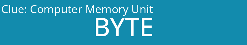 Computer Memory Unit