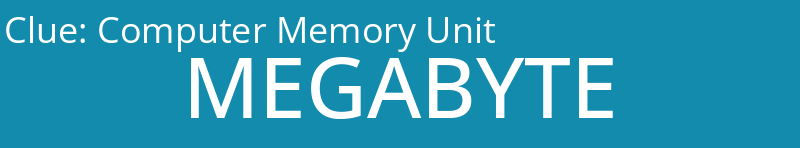 Computer Memory Unit