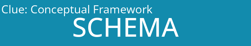 Conceptual Framework