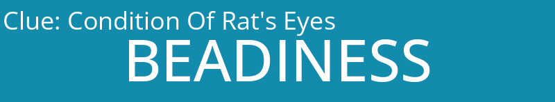 Condition Of Rat's Eyes