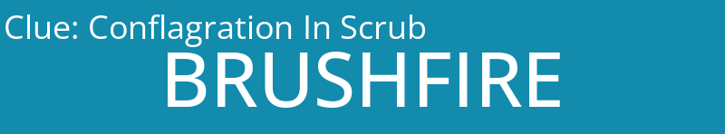 Conflagration In Scrub