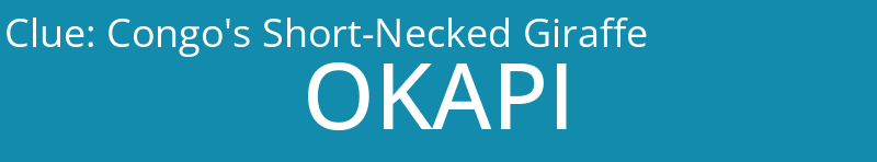 Congo's Short-Necked Giraffe