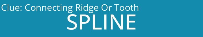 Connecting Ridge Or Tooth