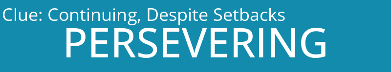 Continuing, Despite Setbacks