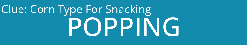 Corn Type For Snacking