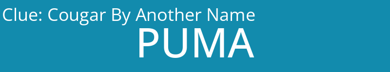Cougar By Another Name