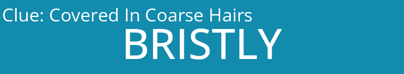 Covered In Coarse Hairs