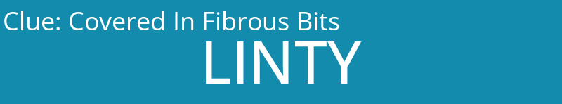 Covered In Fibrous Bits