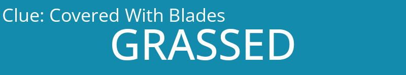 Covered With Blades