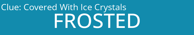 Covered With Ice Crystals