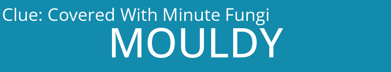 Covered With Minute Fungi