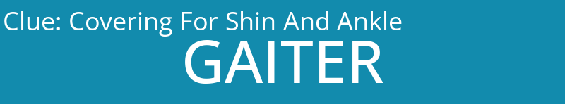 Covering For Shin And Ankle