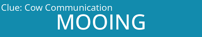 Cow Communication