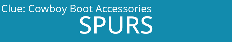 Cowboy Boot Accessories