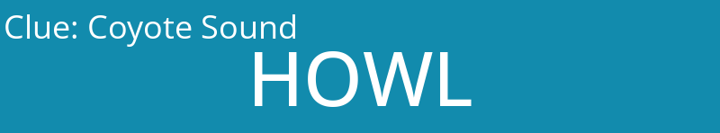 Coyote Sound