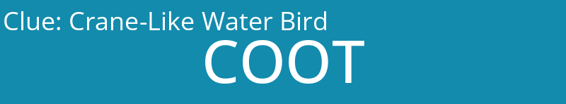Crane-Like Water Bird