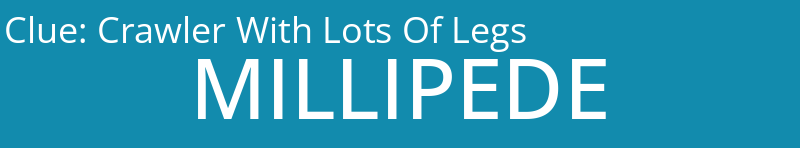 Crawler With Lots Of Legs