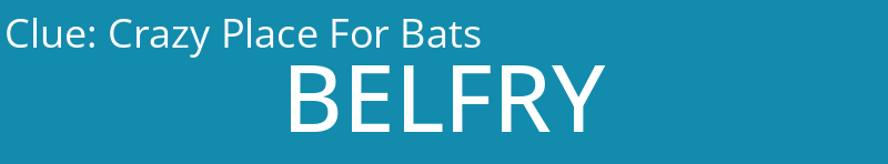 Crazy Place For Bats