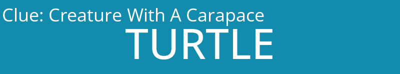 Creature With A Carapace