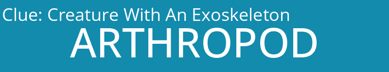 Creature With An Exoskeleton