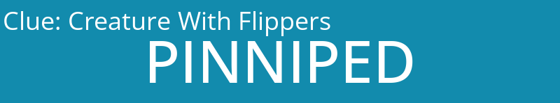 Creature With Flippers