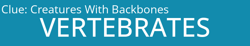 Creatures With Backbones