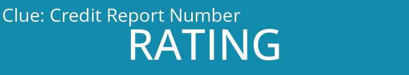 Credit Report Number