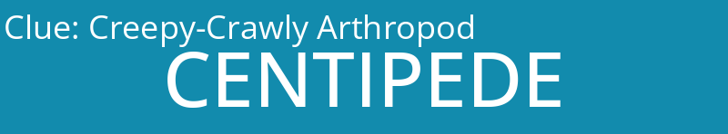 Creepy-Crawly Arthropod