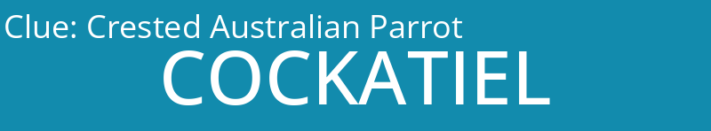 Crested Australian Parrot