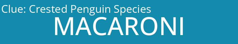 Crested Penguin Species