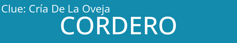 Cría De La Oveja