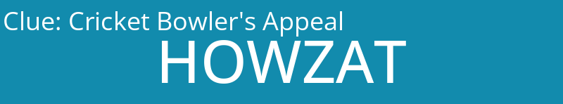 Cricket Bowler's Appeal