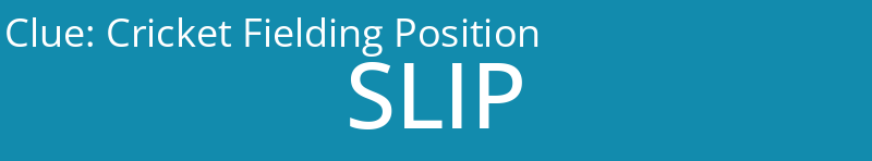 Cricket Fielding Position